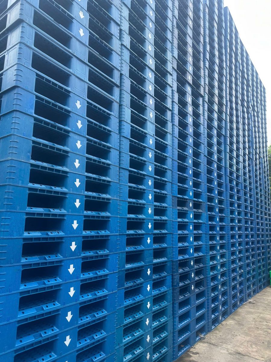 Hoà Phát Plastic – Đối tác bán pallet số lượng lớn uy tín hàng đầu