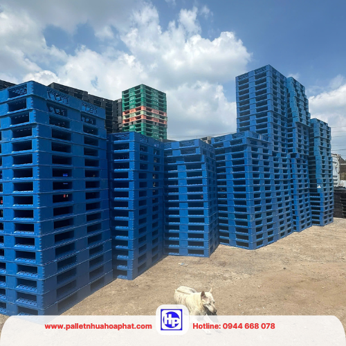 Pallet nhựa mới sạch đẹp nhưng giá sẽ tương đối cao