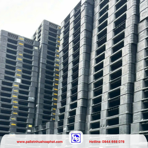 Pallet nhựa là lựa chọn có vẻ tối ưu nhất