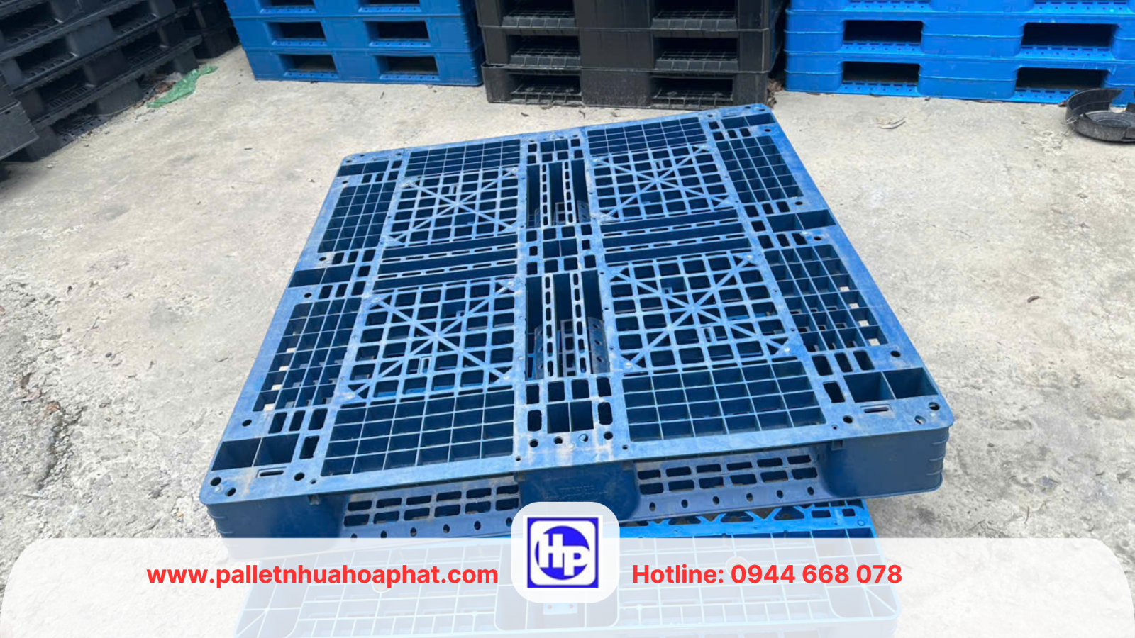 Pallet nhựa đa dạng quy cách số lượng