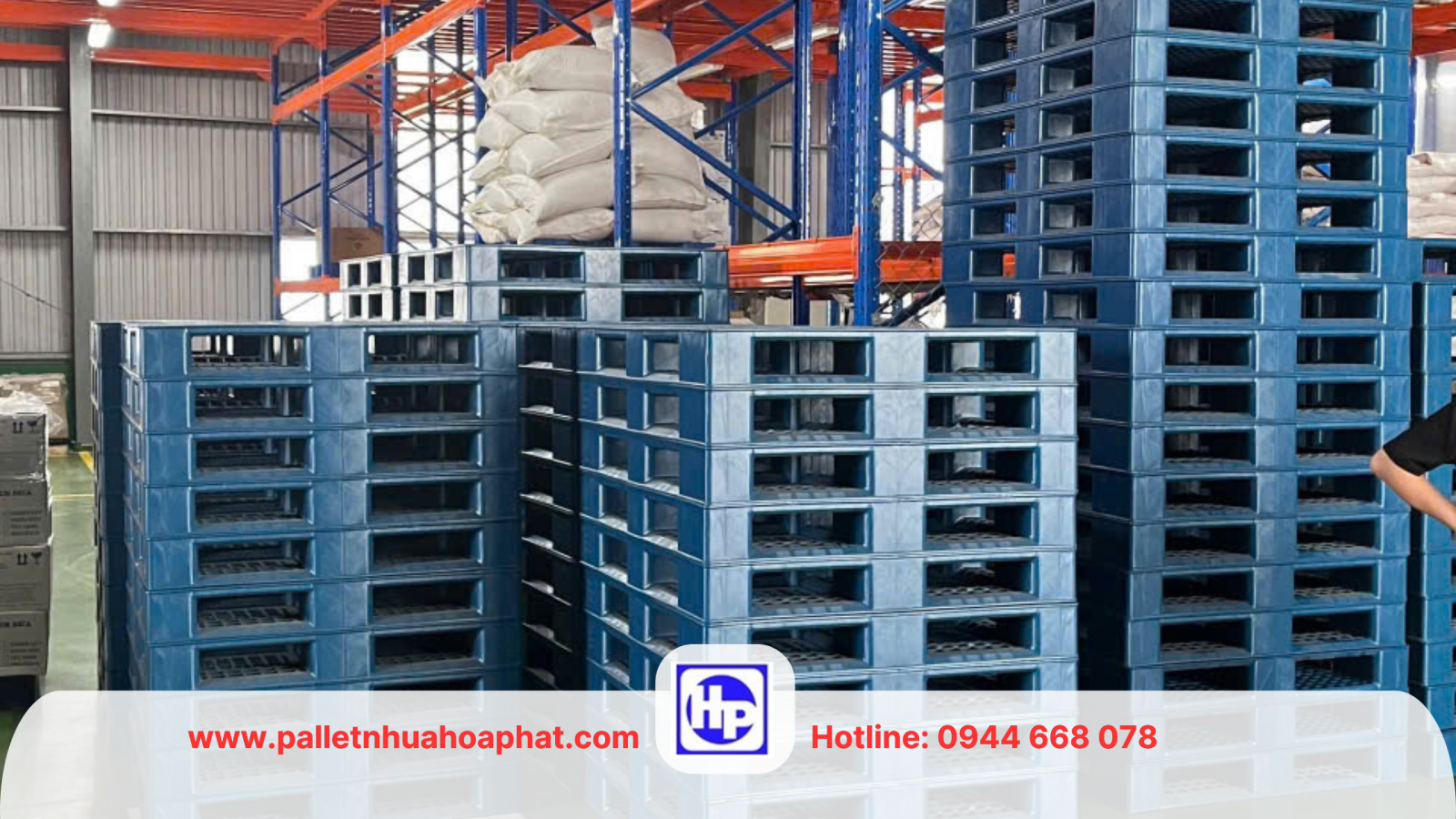 Màu xanh là dòng pallet nhựa được ưa thích nhất