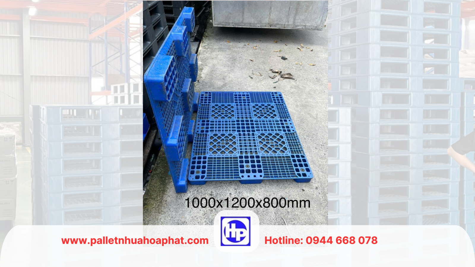 Pallet nguyên sinh dùng cho kho lạnh