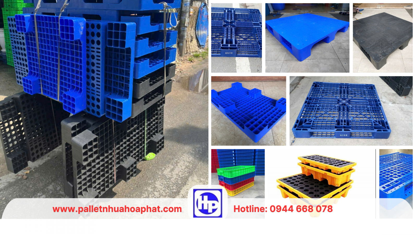 Màu xanh rât được ưa chuộng của pallet Tây Ninh