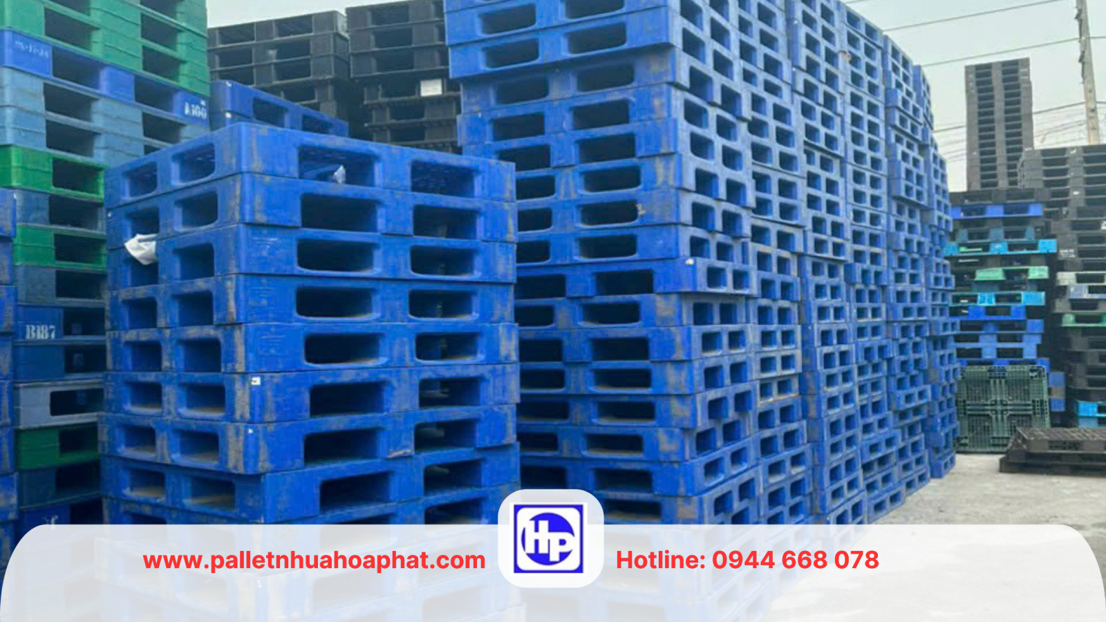 Pallet nhựa cũ vẫn còn kết cấu 90%