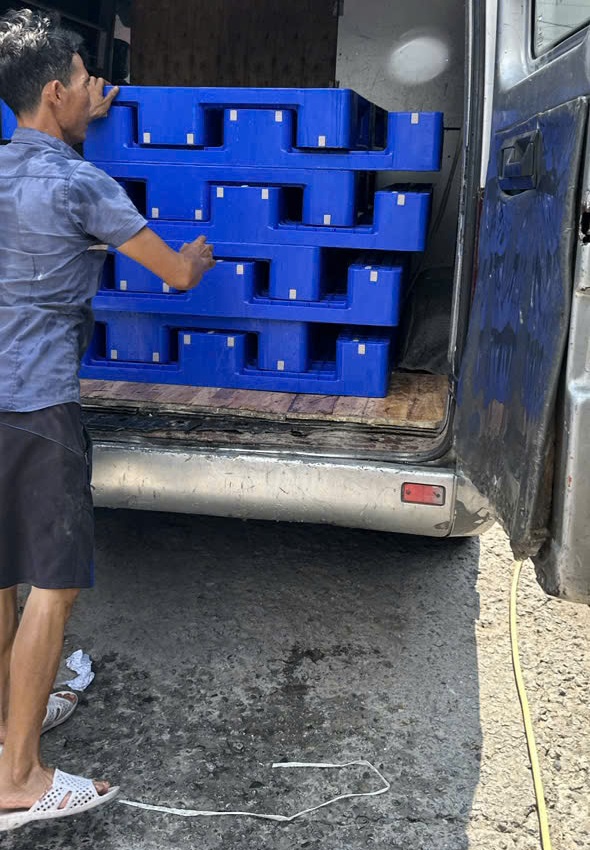 Phân loại các loại Pallet Bình Dương phổ biến hiện nay