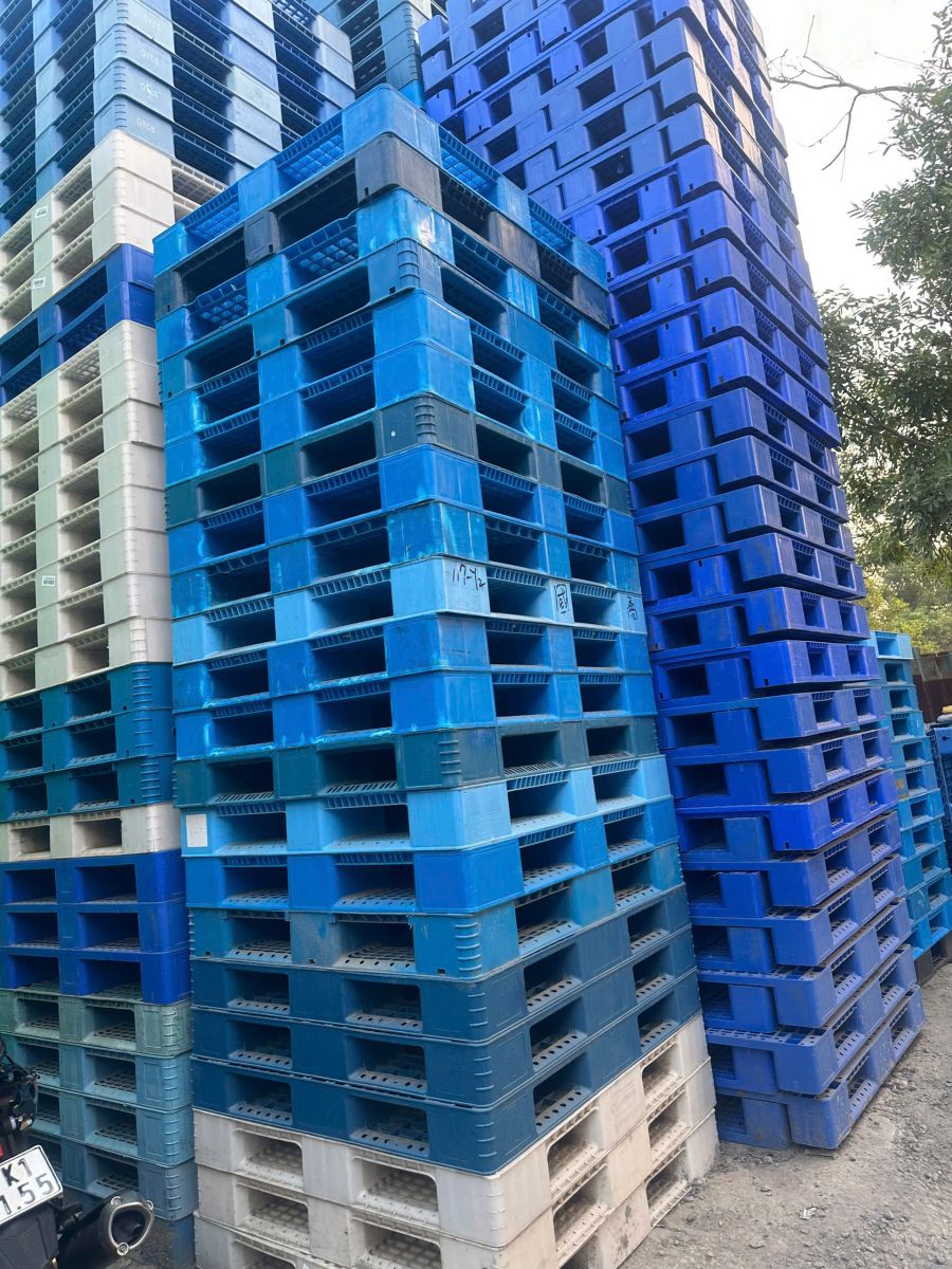 Những loại pallet phổ biến được nhiều doanh nghiệp lựa chọn