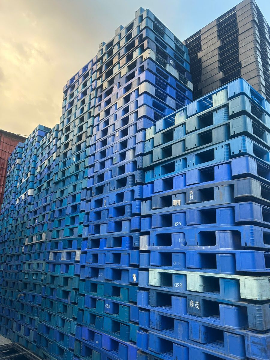 Ứng dụng thực tế của pallet cho container