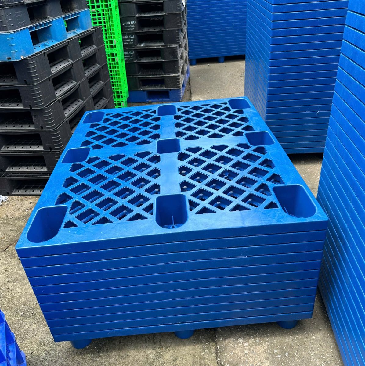 Áp lực tối ưu hóa hạ tầng lưu trữ trong hoạt động logistics hiện đại