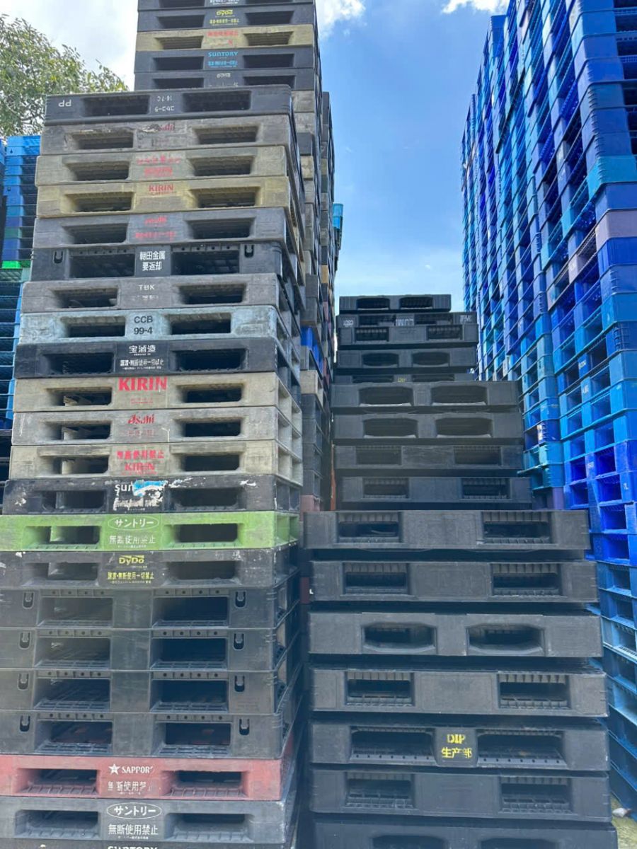 Cách chọn pallet cho kho bãi phù hợp với nhu cầu doanh nghiệp