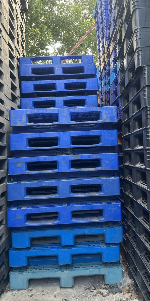 Các loại pallet đa dạng màu phổ biến hiện nay