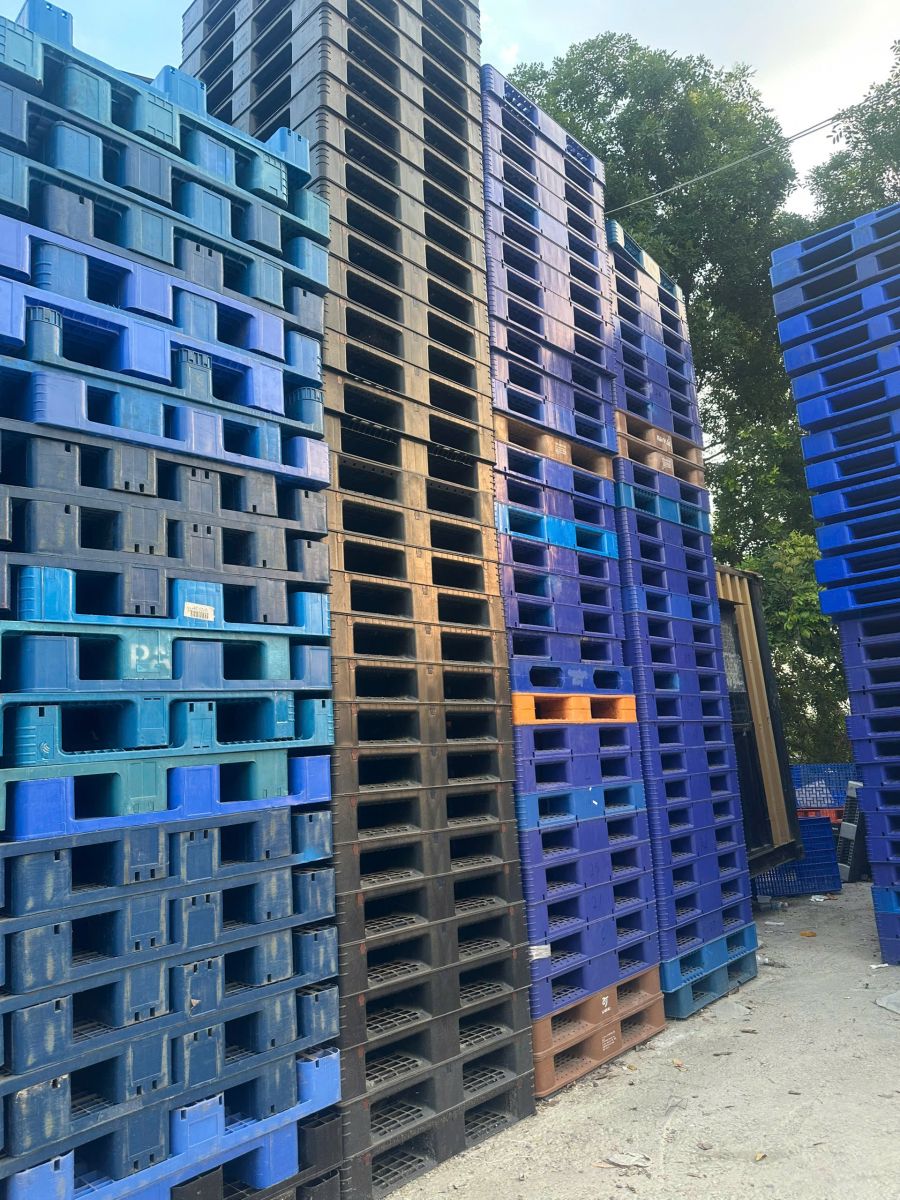 Cách lựa chọn pallet đa dạng màu phù hợp