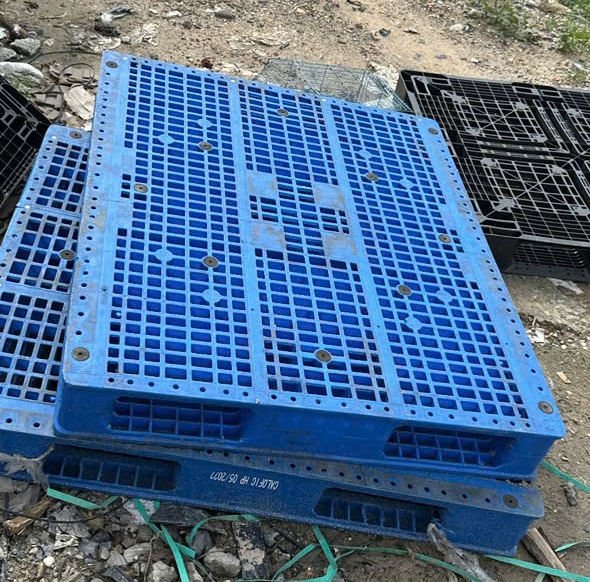 Pallet đã qua sử dụng phù hợp với nhiều mô hình kho bãi
