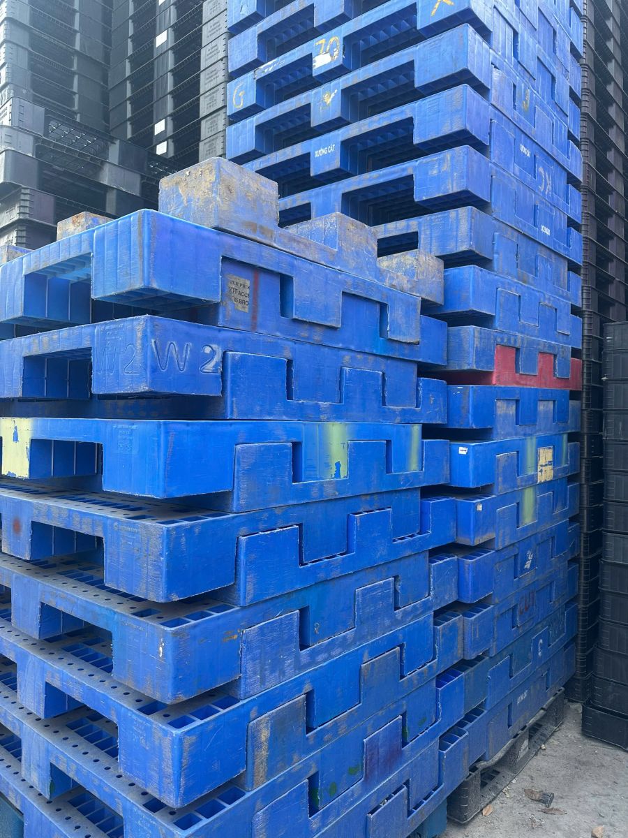 Khi nào nên ưu tiên pallet đã qua sử dụng thay vì pallet mới?