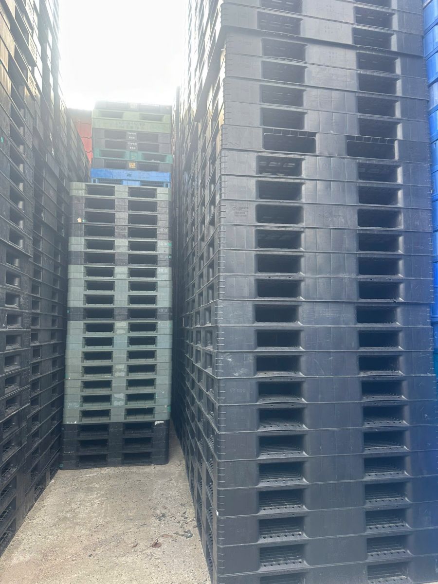 Đơn vị phân phối pallet Đồng Nai uy tín, giao hàng siêu tốc tại bãi