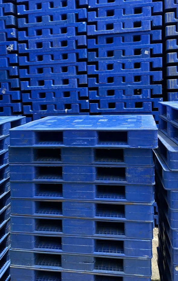 Ứng dụng thực tế của pallet kê kho giá rẻ trong doanh nghiệp