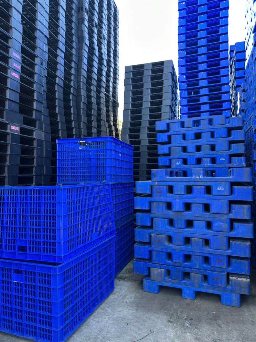 Để chọn pallet nhựa phù hợp, doanh nghiệp cần có kinh nghiệm gì?