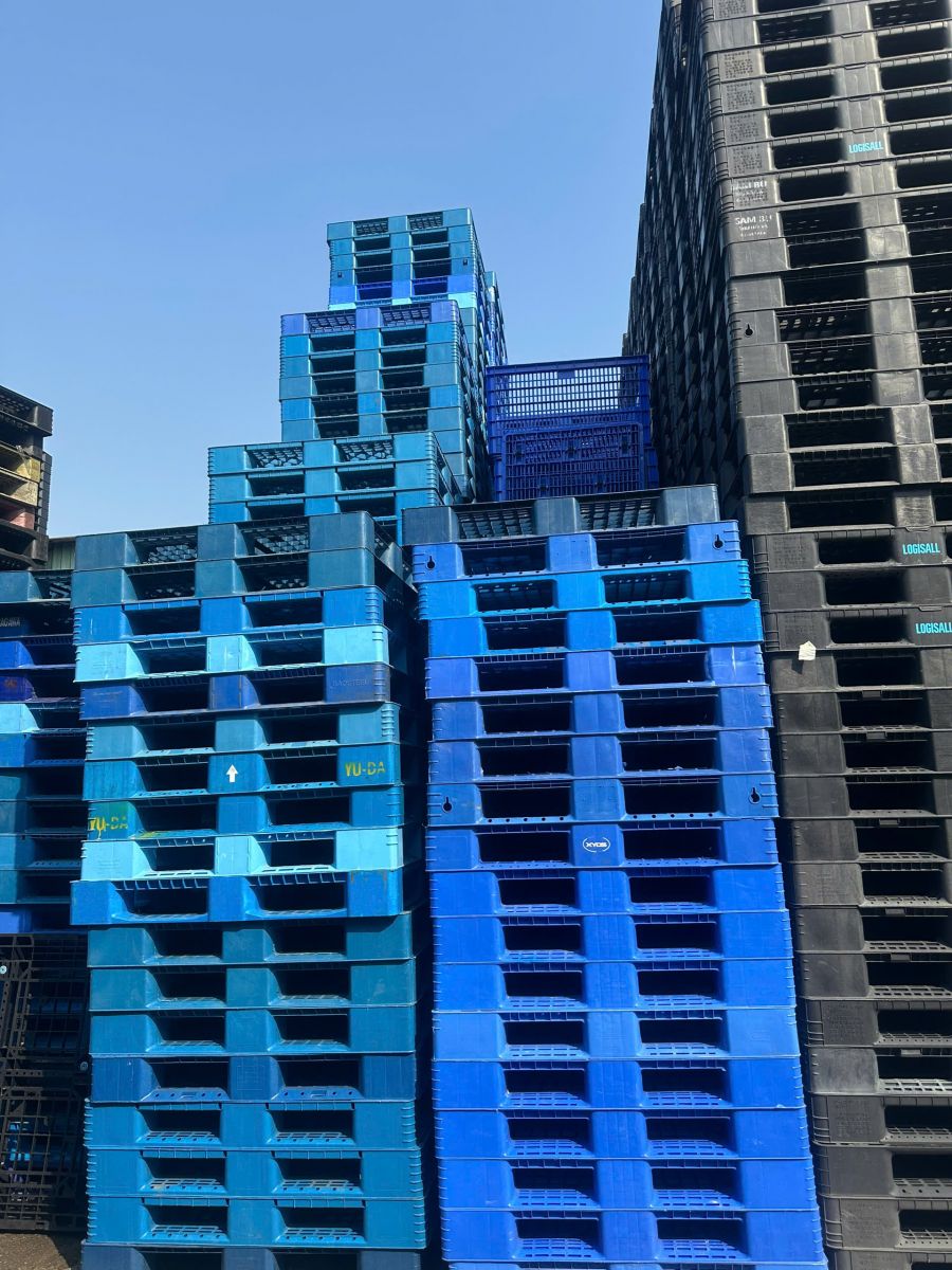 Ưu điểm vượt trội của pallet nhựa chống ẩm