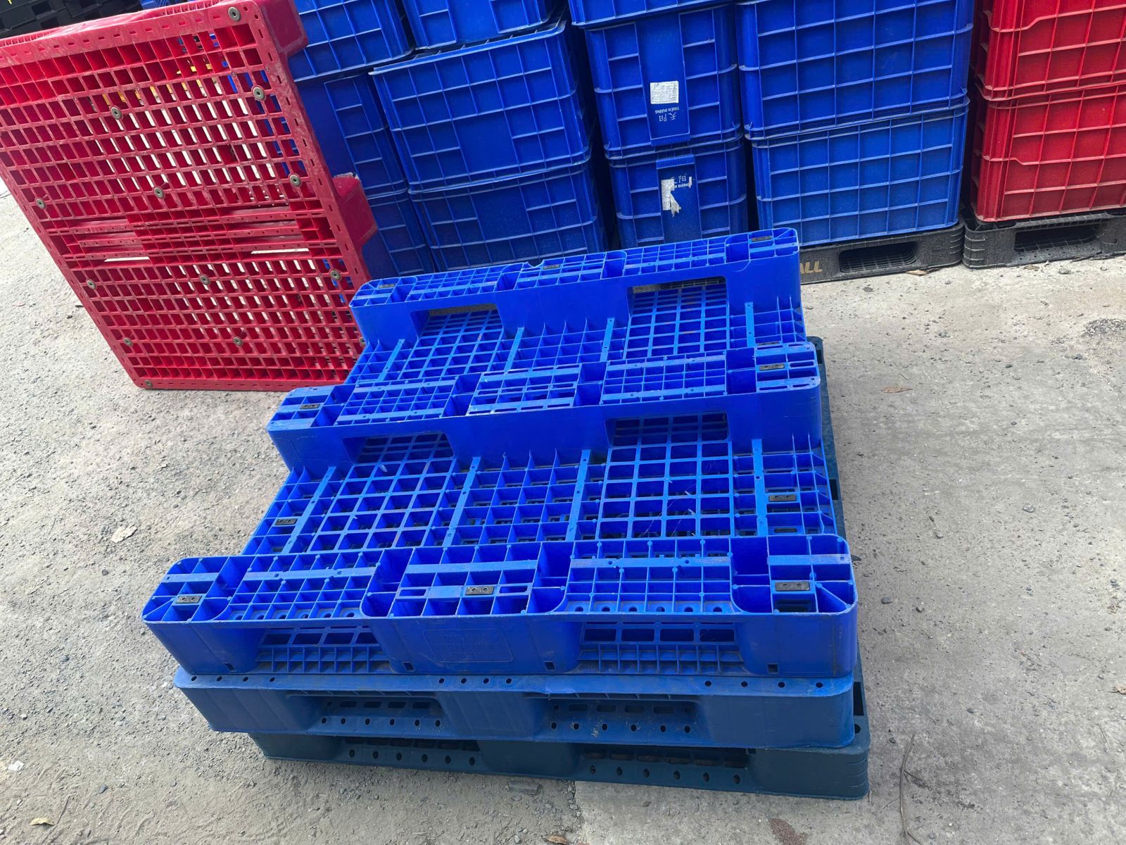 Hoà Phát Plastic – Địa chỉ cung cấp pallet nhựa uy tín, giá cạnh tranh