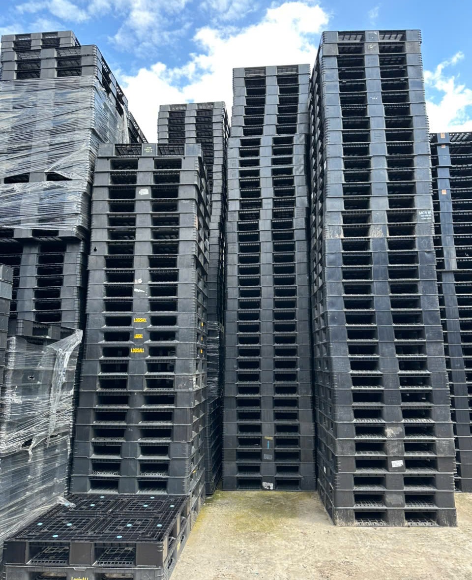 Lợi ích khi sử dụng pallet nhựa kê hàng trong doanh nghiệp