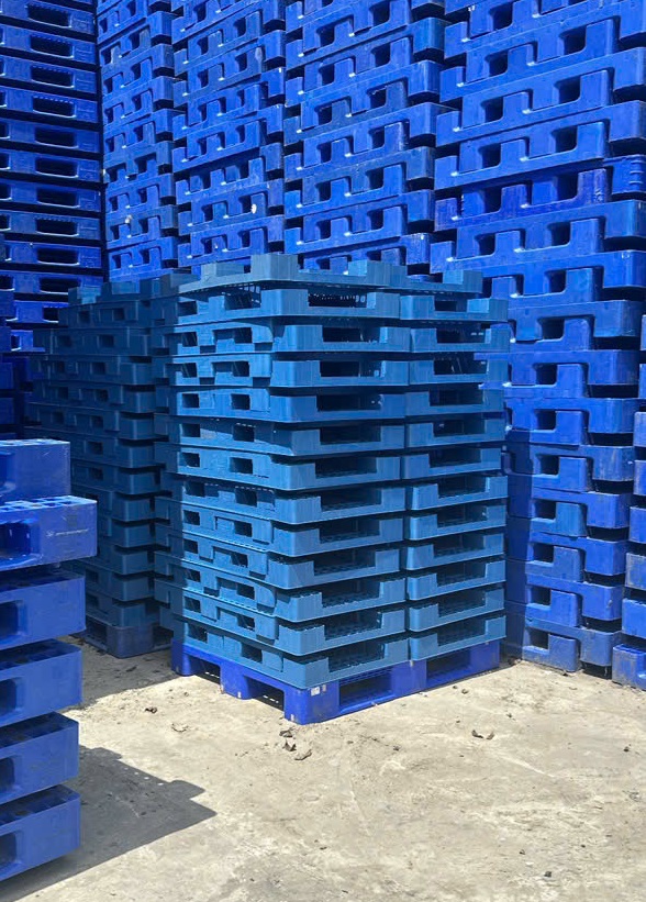Các loại pallet nhựa kê hàng phổ biến trên thị trường hiện nay