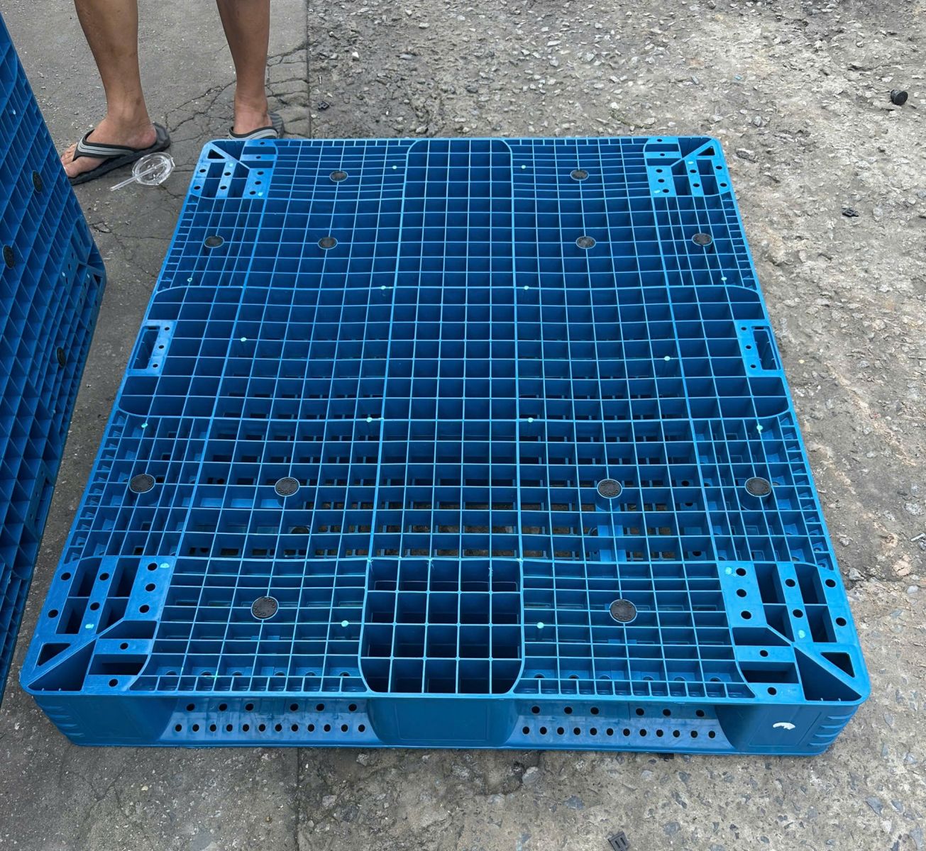 Lý do nhiều doanh nghiệp chuyển sang sử dụng pallet nhựa