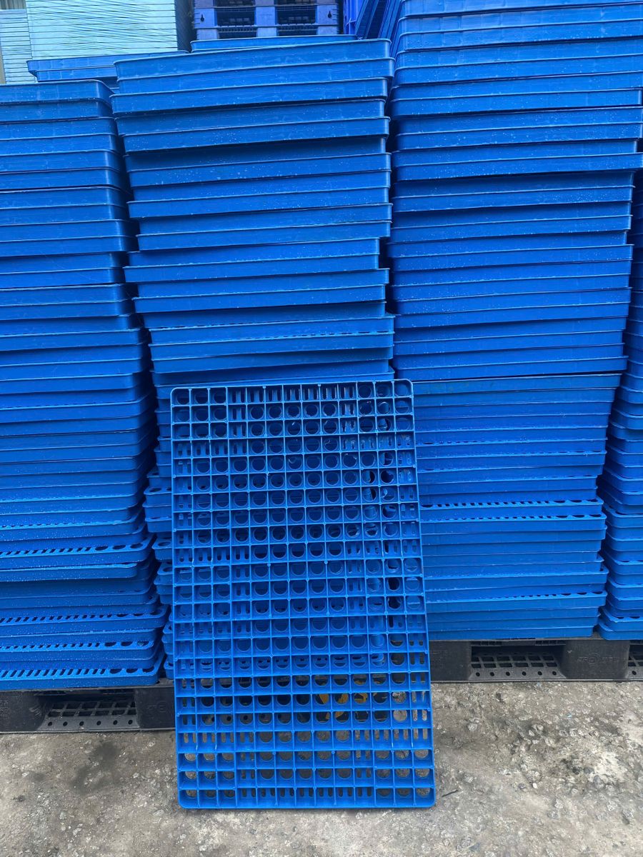 Những tiêu chí quan trọng khi chọn mua pallet nhựa kho lạnh