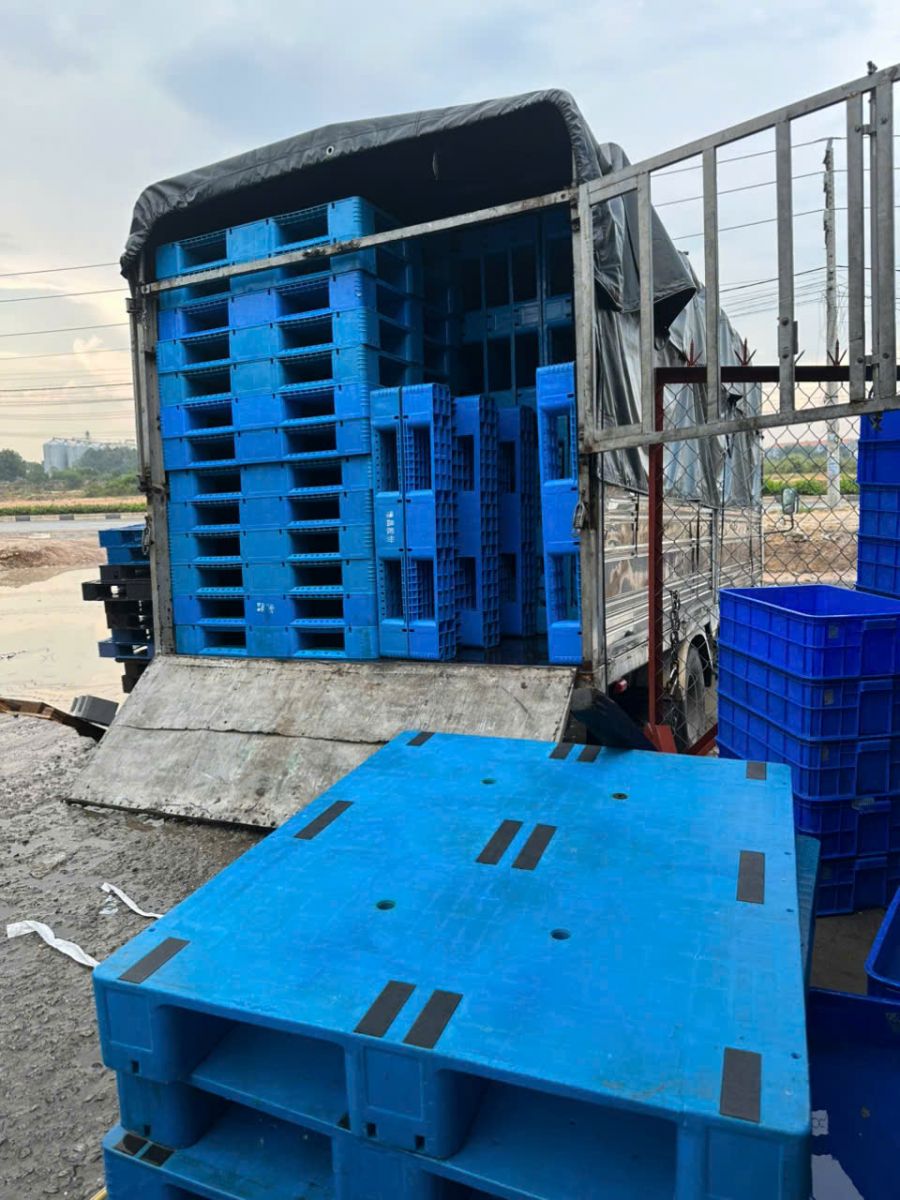 Tính đa dạng và ứng dụng rộng rãi