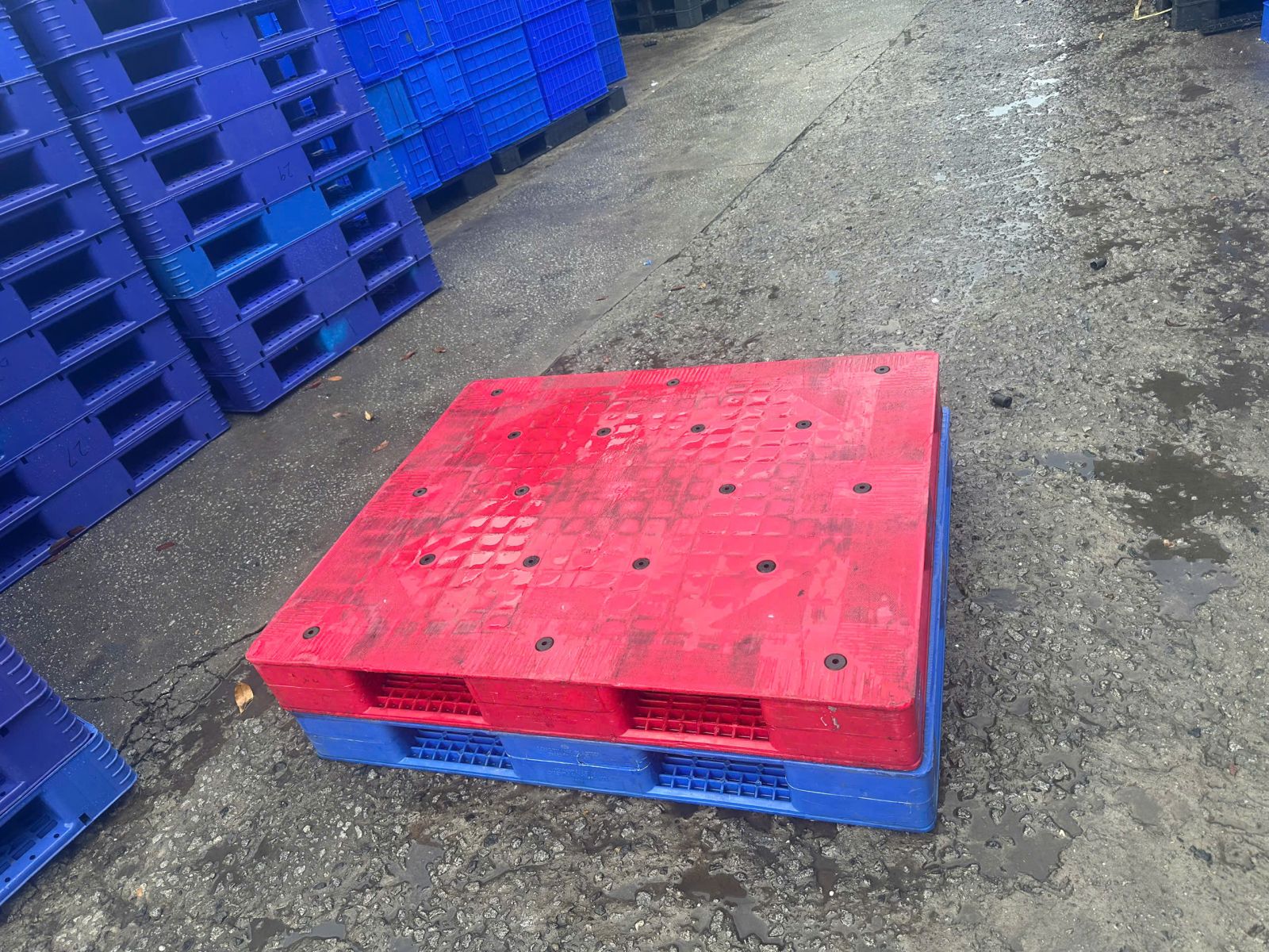 Kinh nghiệm chọn mua pallet nhựa mới chất lượng với chi phí tối ưu
