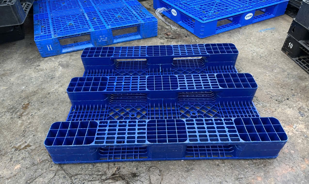 Pallet nhựa xanh phù hợp với điều kiện kho lạnh và thủy sản