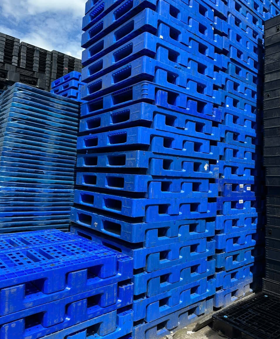 Hoà Phát Plastic – Đơn vị cung cấp pallet nhựa xanh cho ngành thực phẩm
