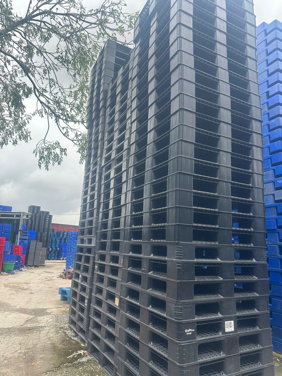 3 tiêu chuẩn kỹ thuật cốt lõi của dòng pallet xuất khẩu chuyên dụng