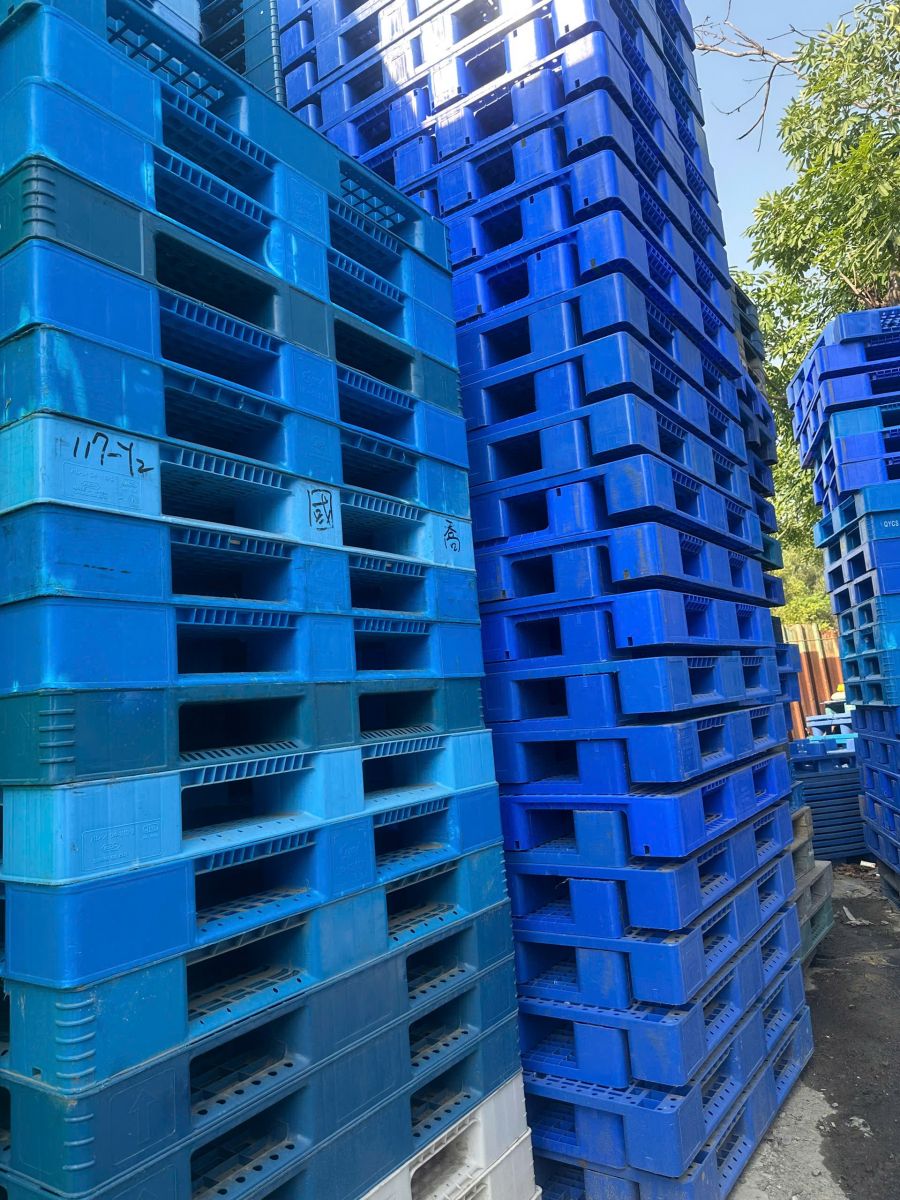 Lý do pallet nhựa được ưa chuộng trong xuất khẩu