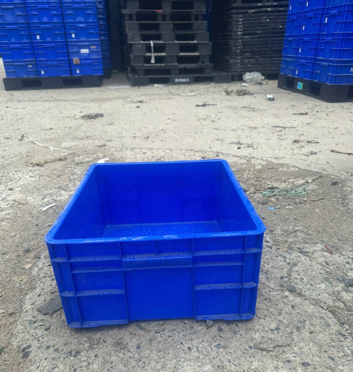 Mẹo bảo quản và vệ sinh giúp tăng gấp đôi tuổi thọ sóng nhựa