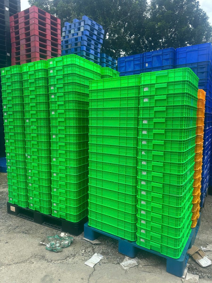 Tầm quan trọng của thùng nhựa đặc trong phân loại vật tư