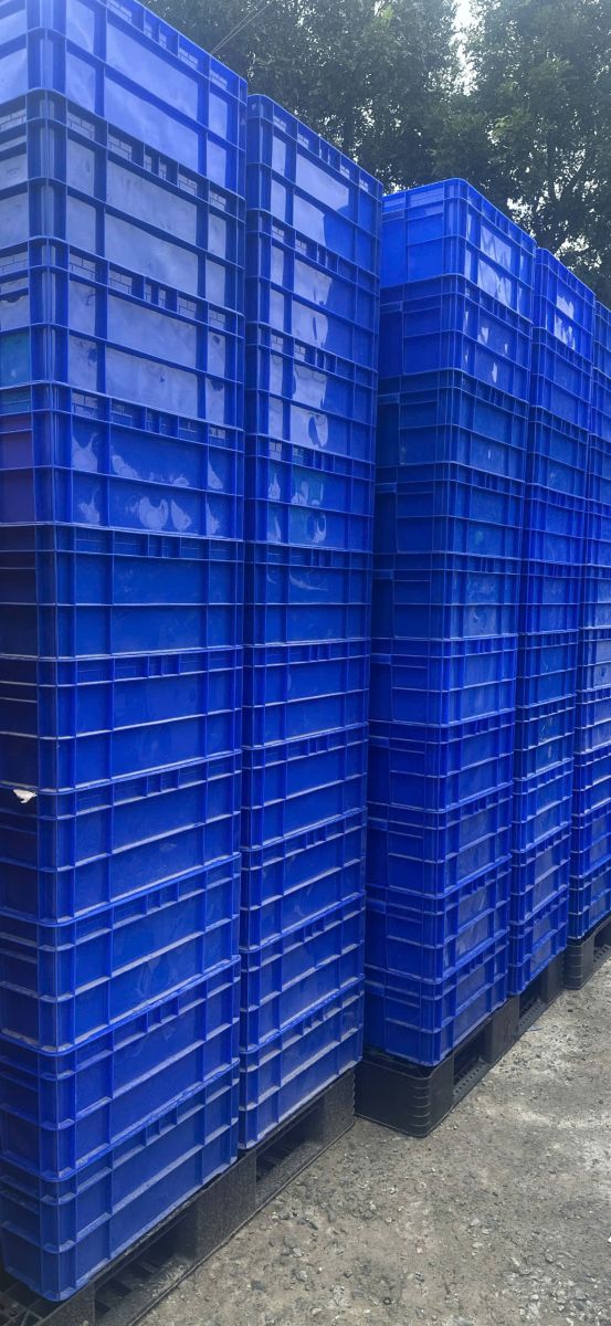Phương pháp kéo dài tuổi thọ vận hành cho khay nhựa đặc