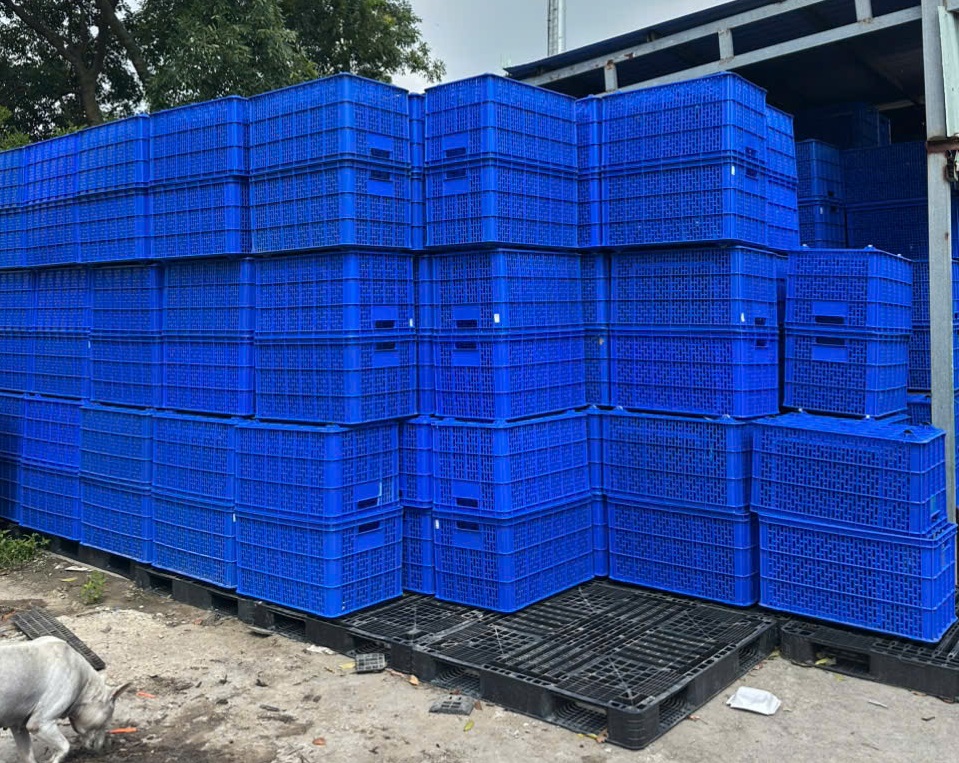 Sóng nhựa đặc bền – Từ sản phẩm đơn giản đến giải pháp chiến lược