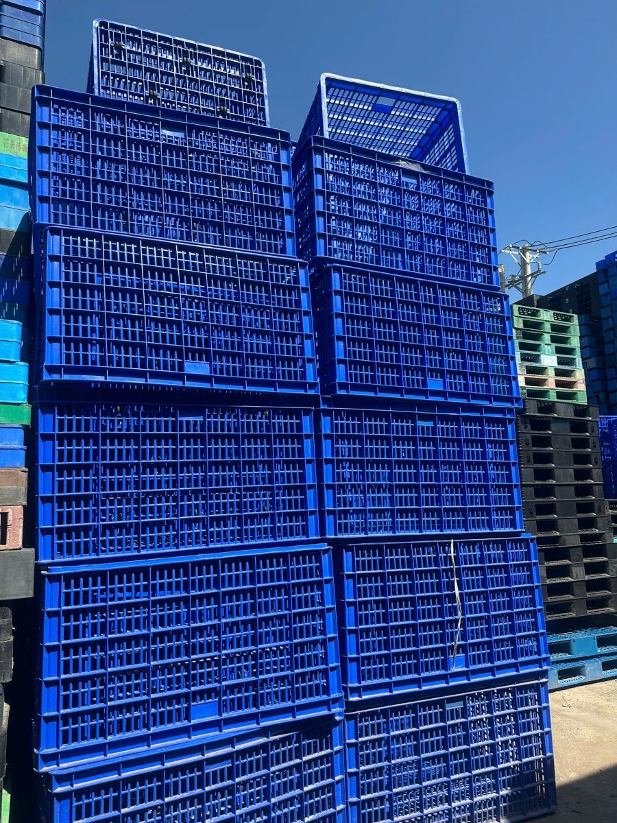 Khi “chiếc thùng” không còn đơn giản – vai trò thật sự của sóng nhựa