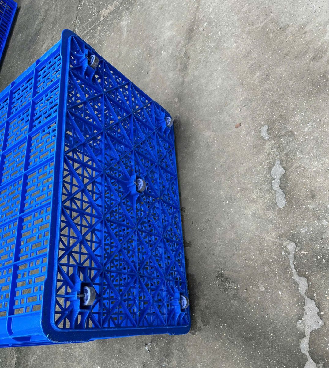 Điều gì khiến sóng nhựa trở thành lựa chọn “mặc định” của dân ngành?