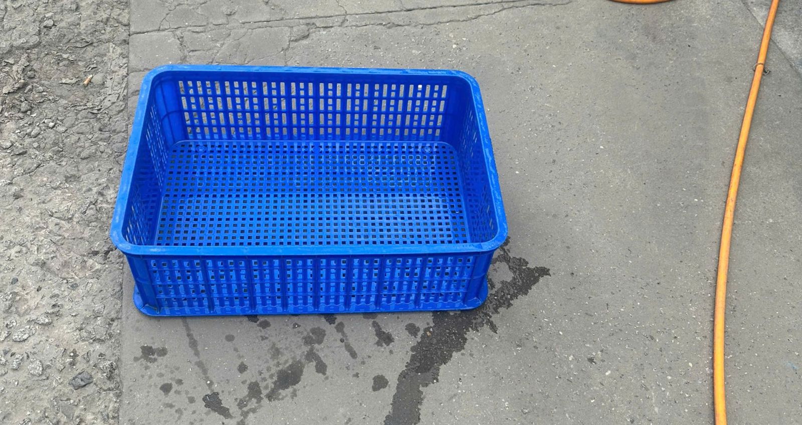 Hòa Phát Plastic - Địa Chỉ Uy Tín Cung Cấp Sóng Nhựa Đựng Thủy Sản