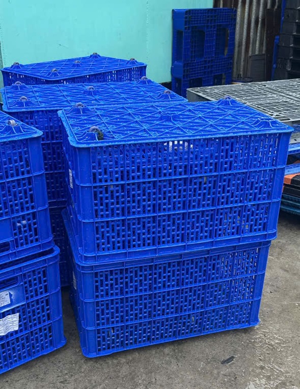 Ứng dụng thực tế của sóng nhựa đựng trái cây