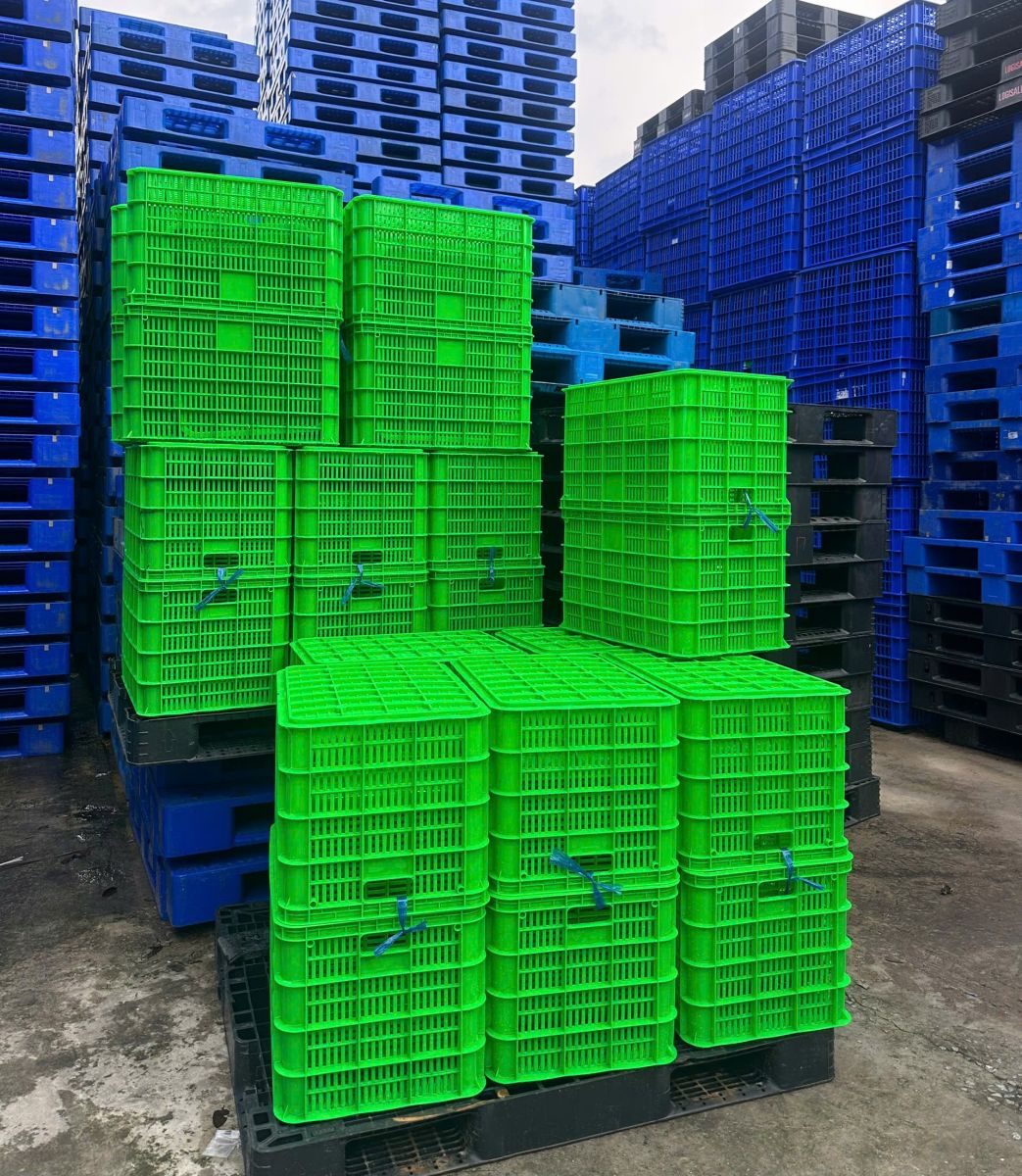 Sóng nhựa hở – giải pháp lưu trữ linh hoạt cho mọi ngành nghề