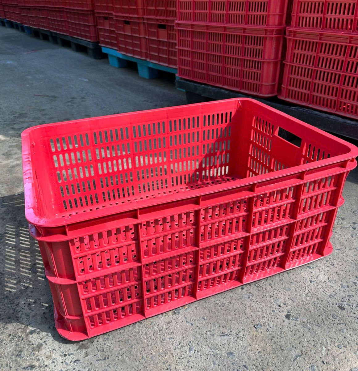 Những giá trị khác biệt khi hợp tác cùng Hoà Phát Plastic
