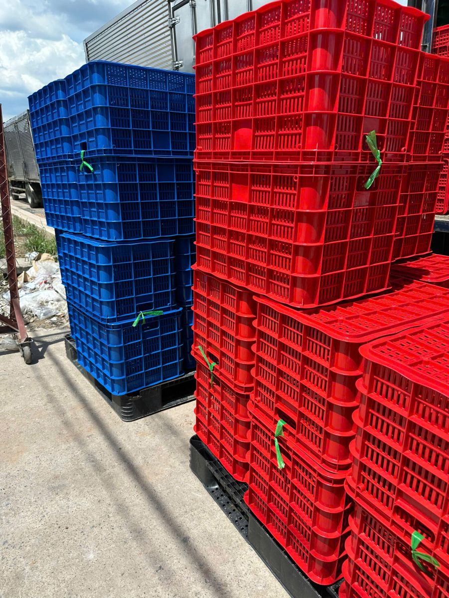 Tiêu chí lựa chọn sóng nhựa hở chất lượng