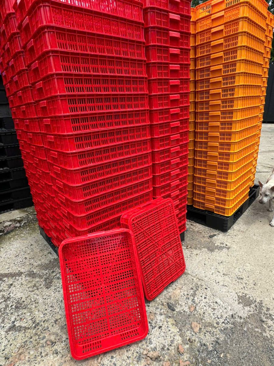 Ứng dụng phổ biến của sóng nhựa hở trong sản xuất và đời sống