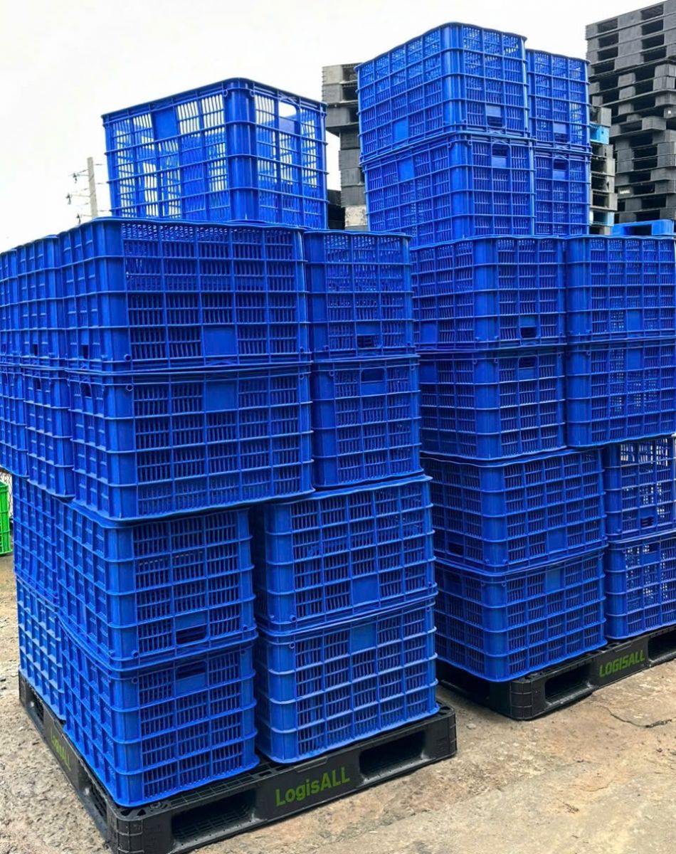 Mẫu mã đa dạng cho nhiều nhu cầu