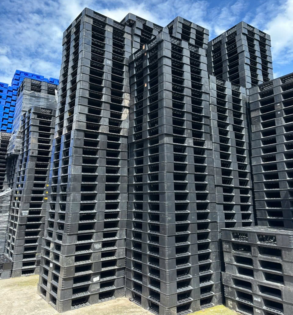 Thực tế nhu cầu thu mua pallet nhựa đã sử dụng hiện tại