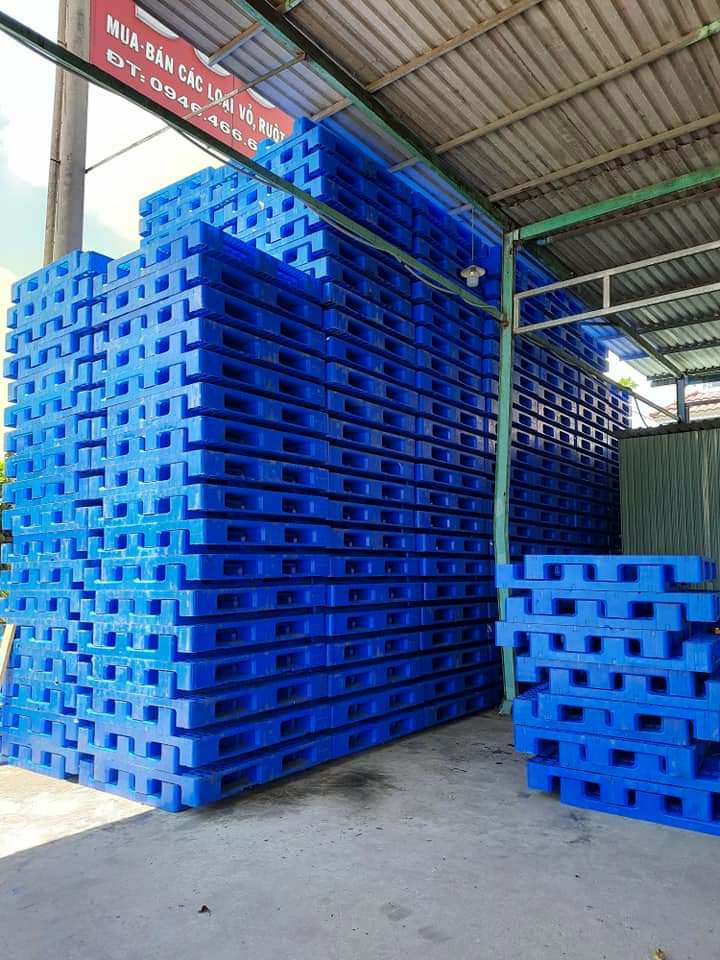 pallet nhựa kho lạnh tiền giang