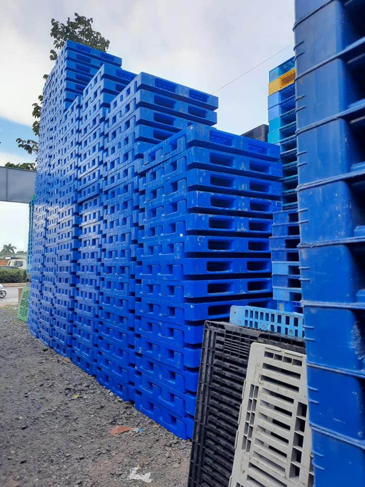 Pallet nhựa Hòa Phát Tiền Giang