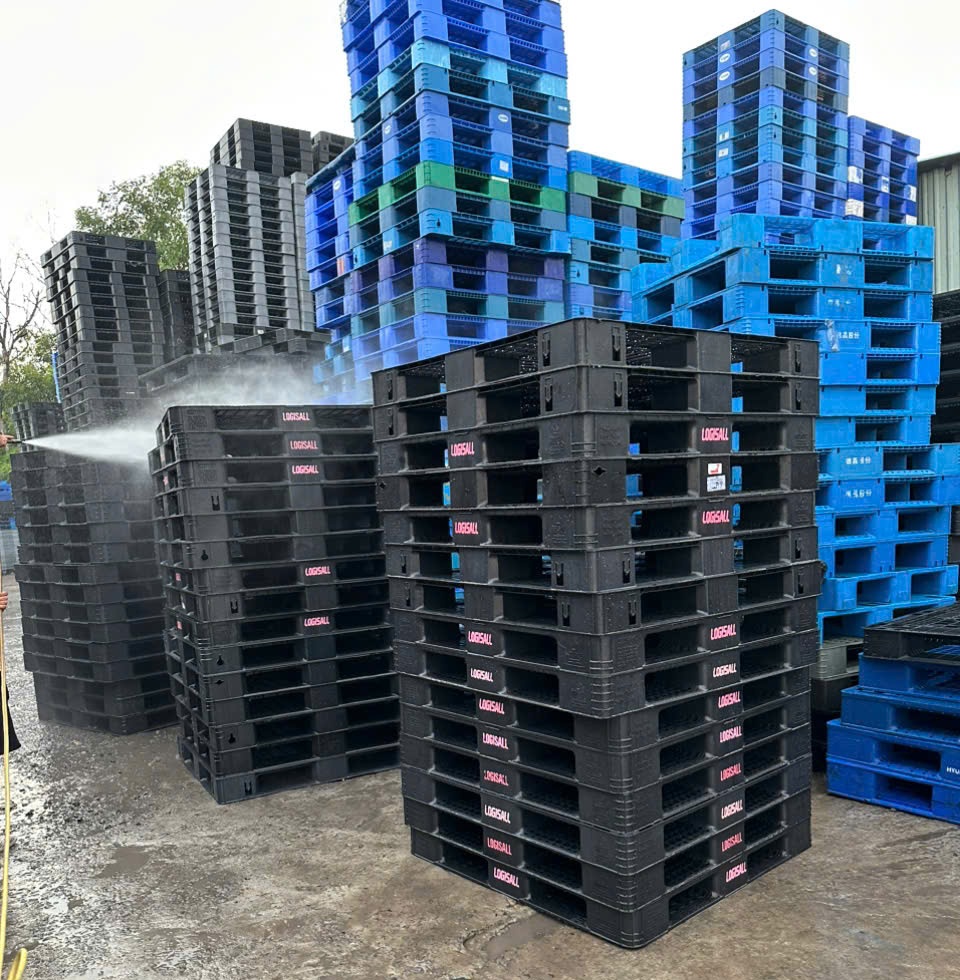 Bán Pallet Nhựa Chất Lượng – Giải Pháp Vận Chuyển & Kho Hàng Hiệu Quả