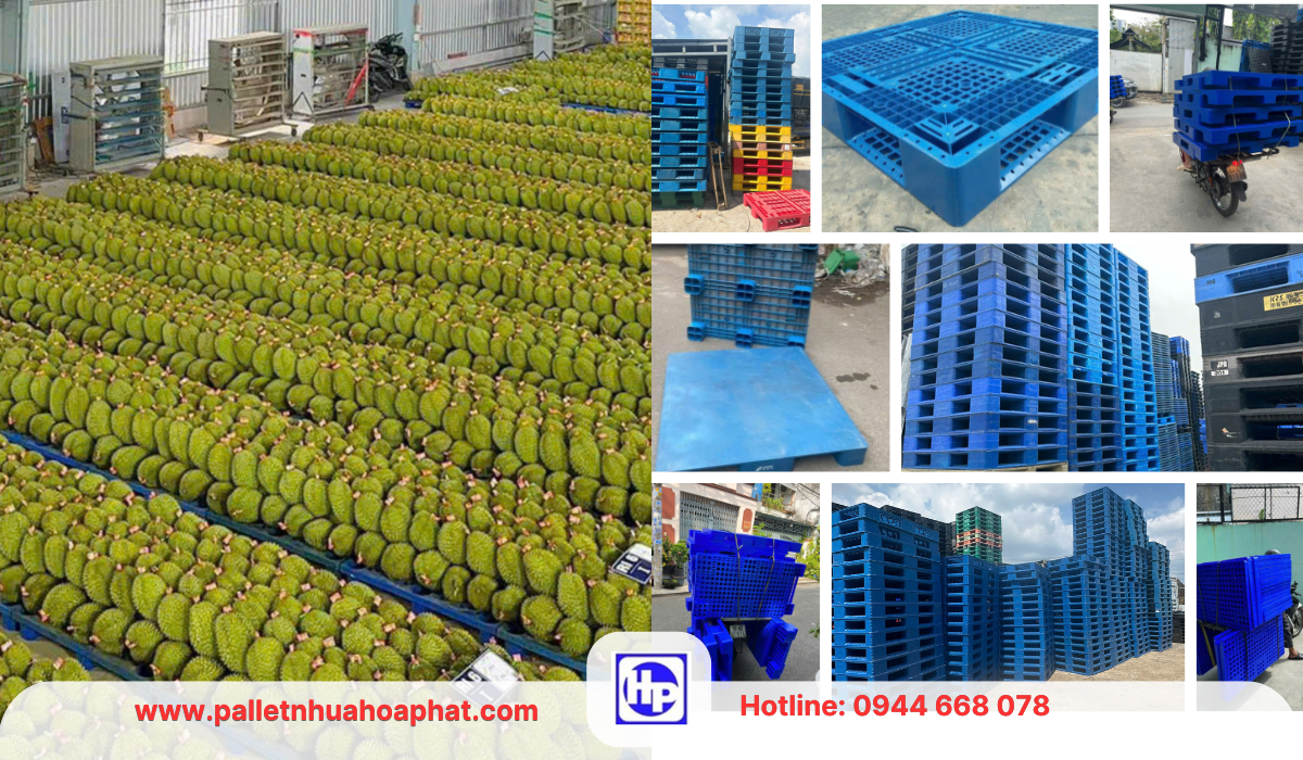 Pallet nhựa Cẩm Mỹ top10 mẫu giá rẻ bán chạy